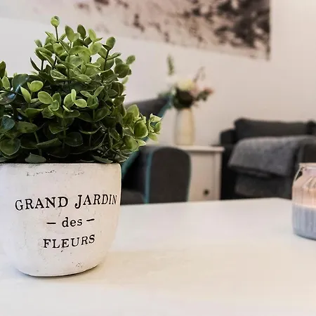 Real Vadasz شقة بودابست